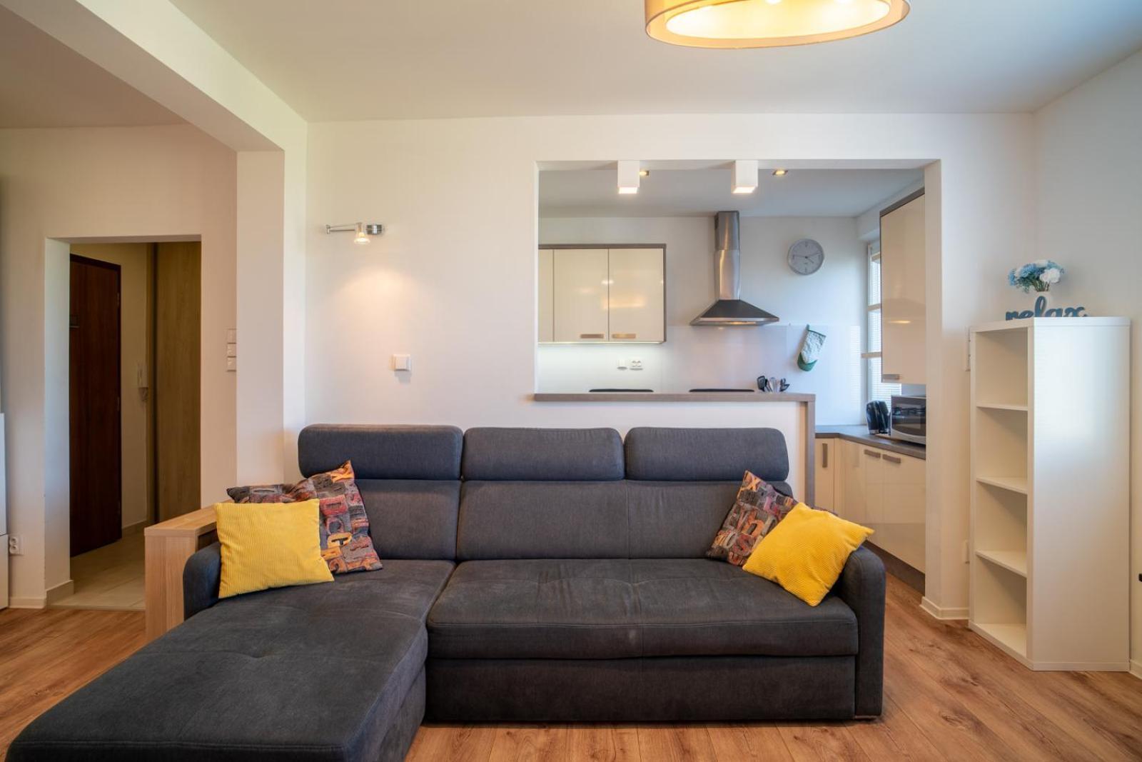 Cozy And Quiet In Wider Center Apartment Pressburg